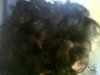 foamcurlersafter-front1-wow!.JPG