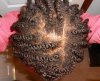 CloseScalp012012_2 (800x656).jpg