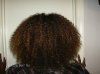JUST WASHED  NOTHING ON HAIR 004.jpg