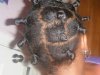 2012_0226Hairpics0011.jpg 2012_0226Hairpics0011.jpg