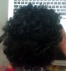 bantuknotout back.jpg