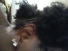 ForumRunner_20120305_181432.jpg