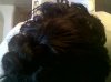 pic2_closebraidedtwist.JPG