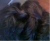 pic3_closebraidedtwist.JPG