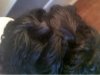 pic4_closebraidedtwist.JPG