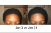 Jan2008afrocompair.jpg