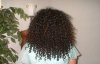 Picture51-vi.jpg