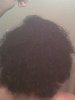 curlymorning_backview.JPG