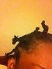 hair plait.jpg