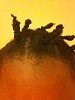 plait2.jpg