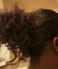 IMG_20120504_170702-1.jpg
