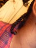 12 may 2012 hair 006.jpg