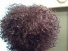 ForumRunner_20120623_084615.jpg