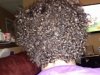 ForumRunner_20120623_084949.jpg