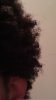 No Product Hair 1.jpg