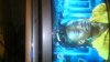 ForumRunner_20120827_233249.jpg