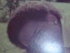 AFRO PIX COPY.jpg