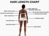 hairlengthchart!.JPG