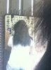 image-2998434572.jpg