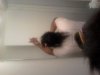 ForumRunner_20121227_234039.jpg