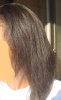 hair outside - sunlight IMG_8389.jpg