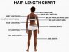 hairlengthchart_200.jpg