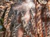 100_0673.jpg