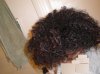 Fro.jpg