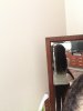 image-1106997795.jpg