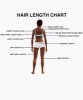 hair-length-chart-clear.jpg