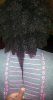 Hair - March 9 2013.jpg
