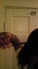 ForumRunner_20130427_113736.jpg