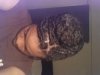 ForumRunner_20130515_213742.jpg