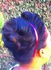 image-2639605739.jpg image-2639605739.jpg