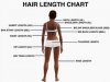 hairlengthchart_200.jpg