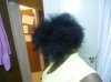 hair pics June 2013 009.jpg