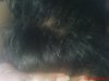 DSC00305#1.jpg