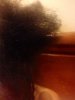 Fuzz ball.JPG