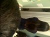 IMG-20130727-00535.jpg