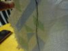 DSC00674.JPG