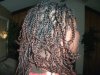 9-6-13--Mini Twists w Braided Roots (1).JPG