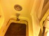 image-3610745265.jpg