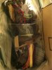 image-2727590743.jpg