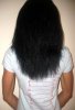 @197 - 11.30.2013 after 1 half inch trim.jpg