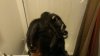 ForumRunner_20131205_095745.jpg