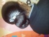 ForumRunner_20131216_085517.jpg