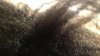 ForumRunner_20131223_024854.jpg