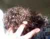 Choppedhair.jpg