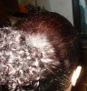 DSC03719-vi.jpg