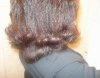 DSC04195-vi.jpg